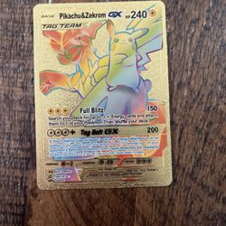Pikachu And Zekrom