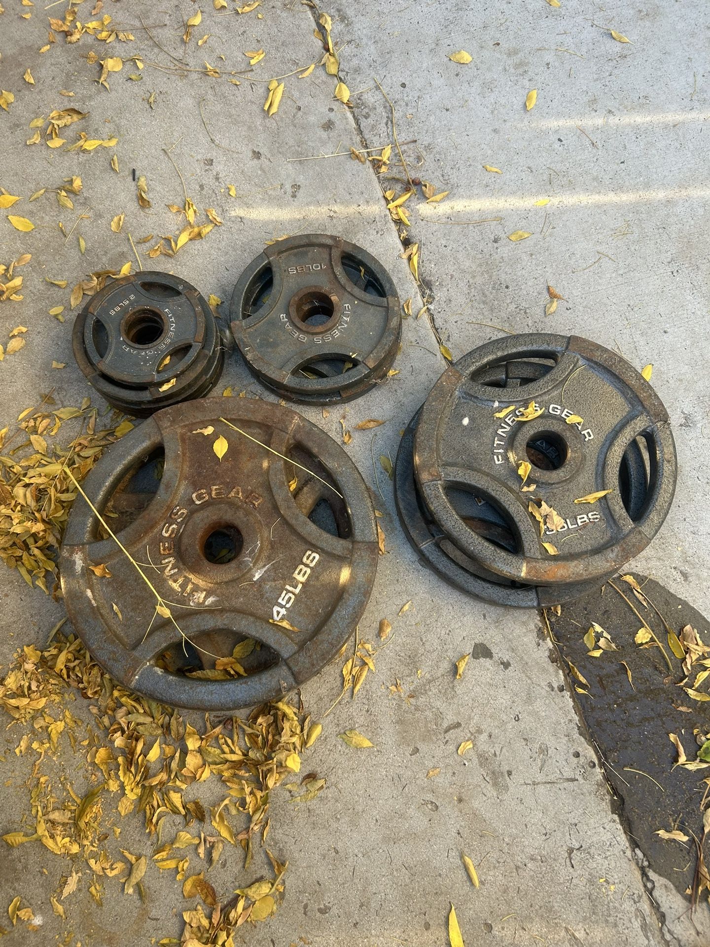 Olympic Weight Plate Set