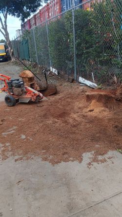 Stump removal trim machine 📞🌴🌳🌲🪵
