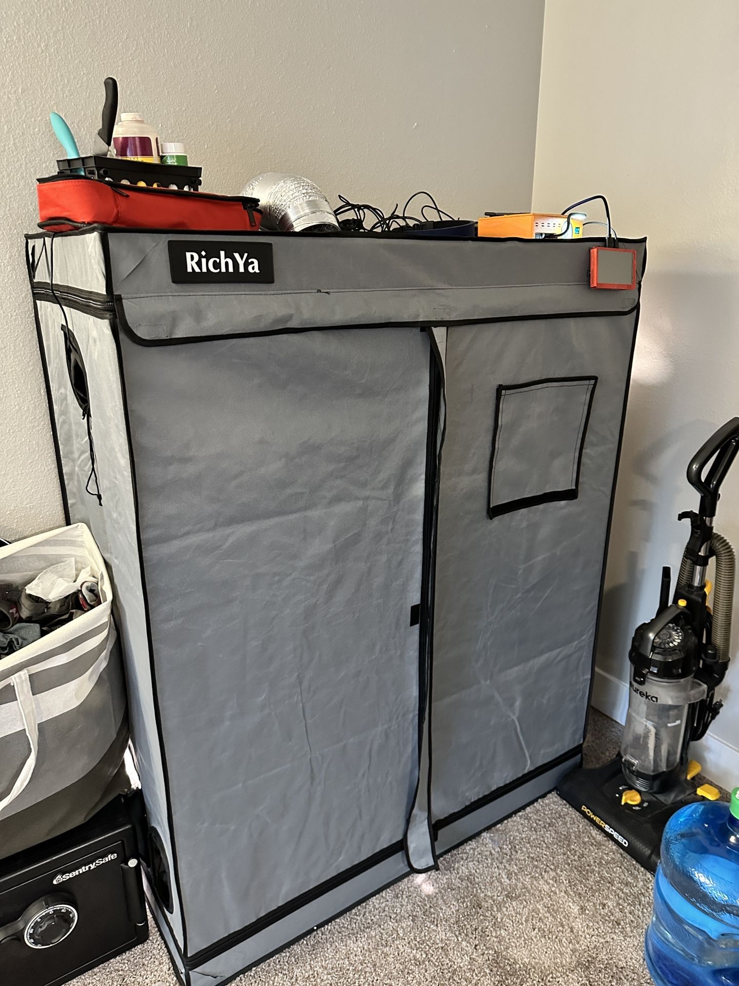 Hydroponic Setup With Seeds