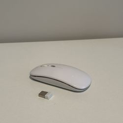 Wireless Mouse for Computer