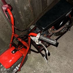 Mini Bike