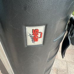 Golf Travel Case By SKB   With wheels 