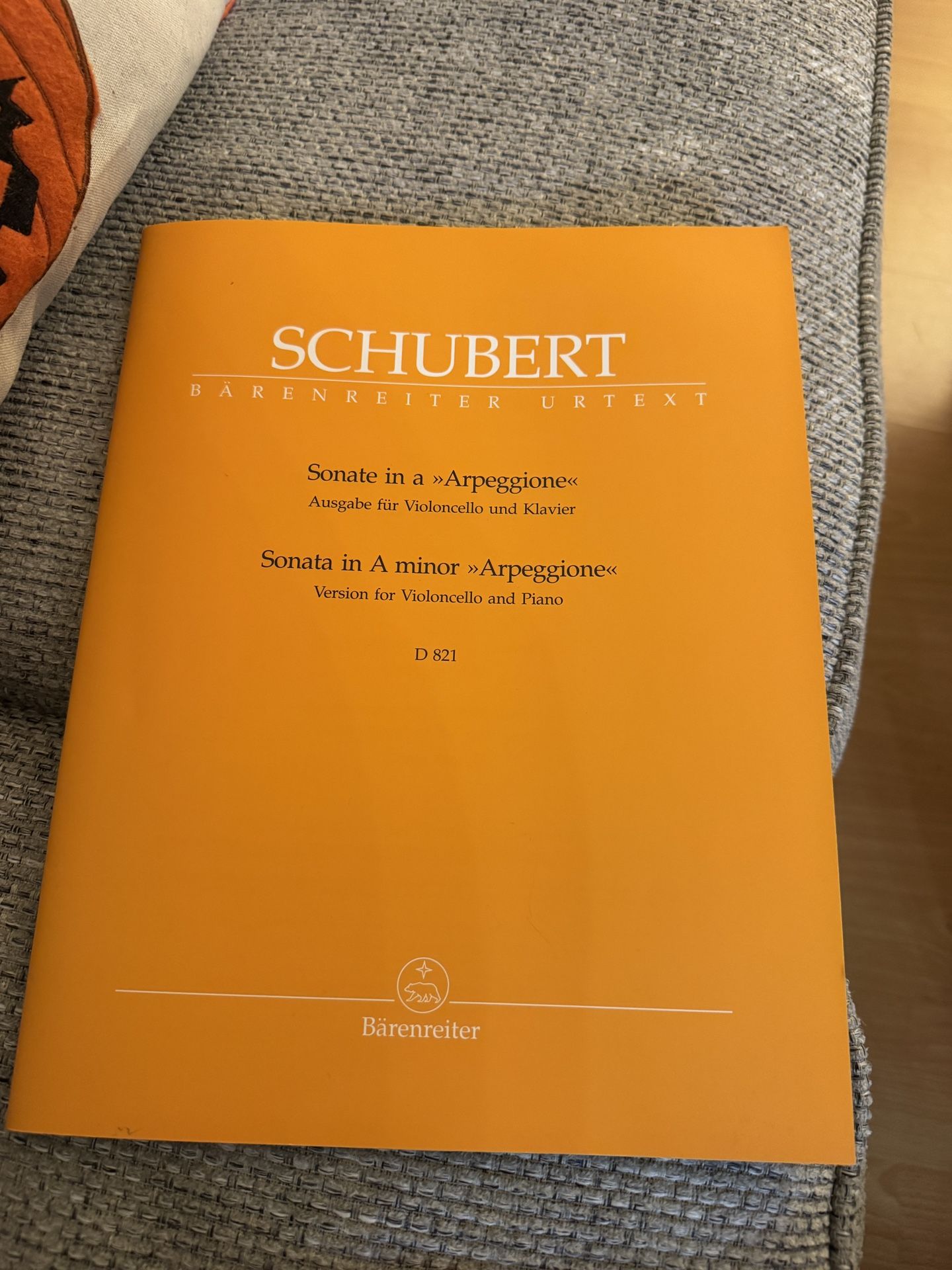 Schubert Sonate In A Arpeggione - Sonata In A Minor