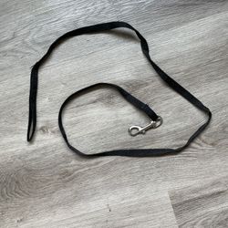 free pet leash