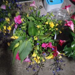 Beautiful Flowers In basket's 