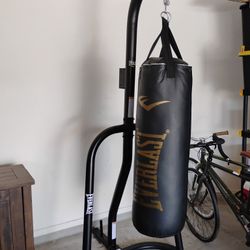 Everlast Punching Bag And Stand $150