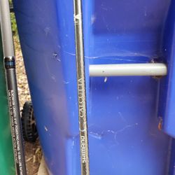 Shimano Calcutta Rod