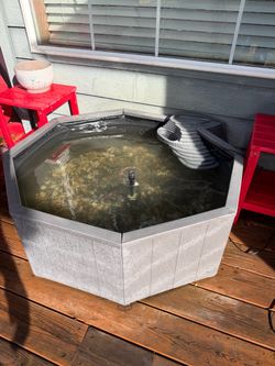 Aquagarden No Dig Nature Pool tons of Lotus Seeds