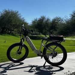 Vtuvia Reindeer Electric bicycle 