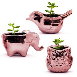 Small Plant Pots - Animal Succulent Planters with Drainage - Rose Gold Porcelain Ceramic Set of 3