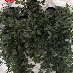 (4) FEJKA Artificial potted plant, indoor/outdoor/hanging, 3 ½ "