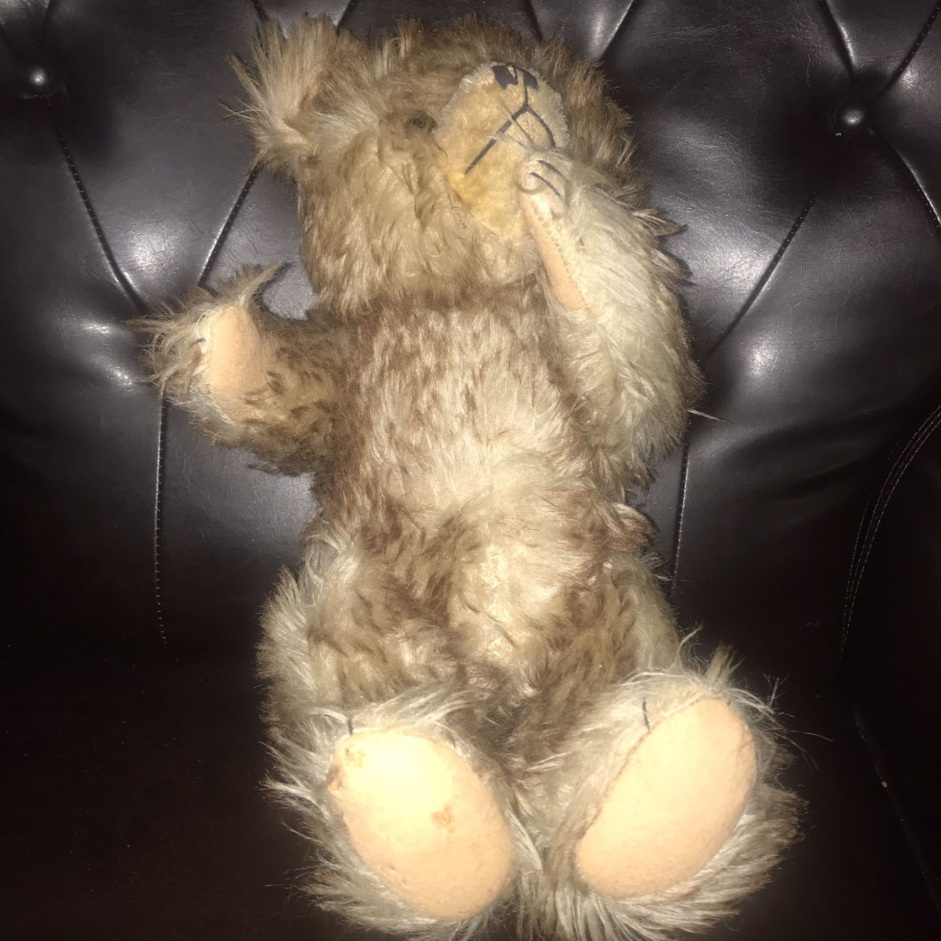 OLD TEDDY  BEAR  WITH A GROWING NOISE 