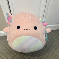 Archie The Axolotl Squishmallow 