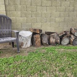 Large Mesquite Tree Stumps Firewood 