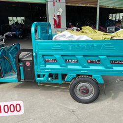 Electric Vehicles For Adults 11.2131