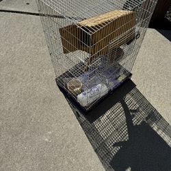 Pet Cage  With Accessories $25