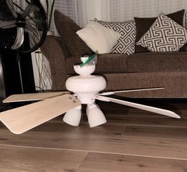 Ceiling Fan