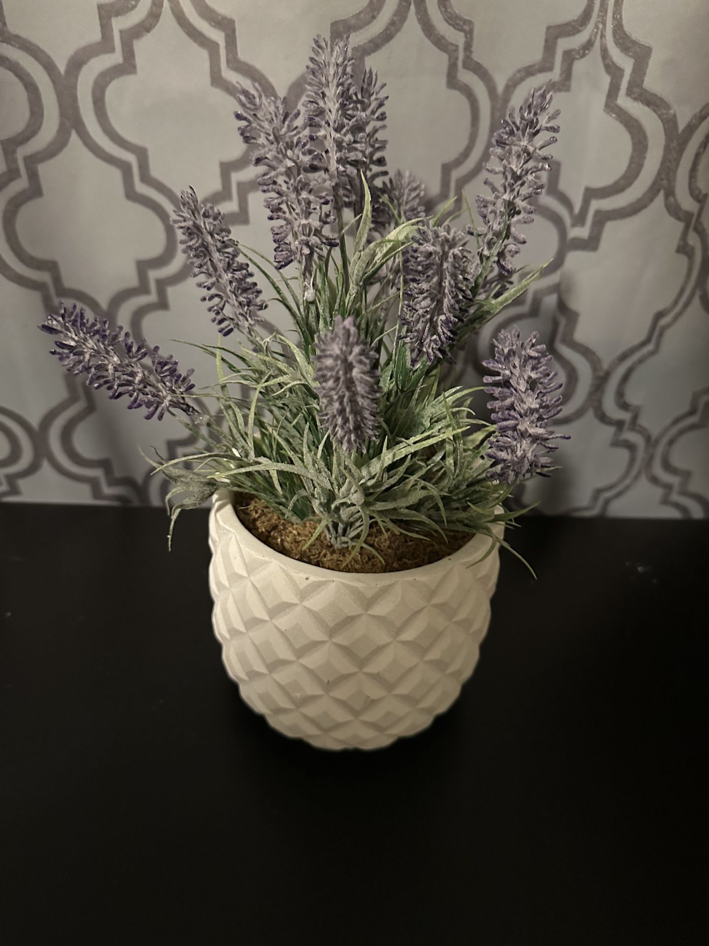 Fake Plant