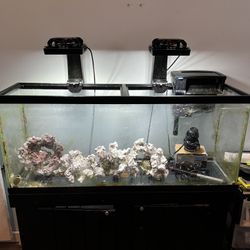 55gal Saltwater Tank With Radion XR15 Blue