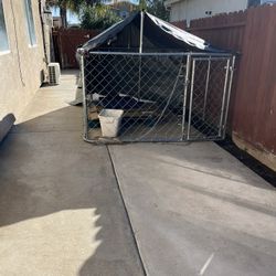 Dog Cage