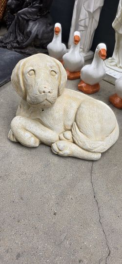 Concrete Dog