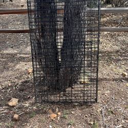 Free Big Dog Enclosure