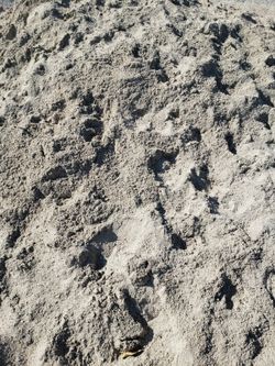Arena. Sand.