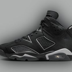 Jordan 6s Cap and Growns