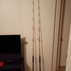 SABRE CALIFORNIAN SPINNING RODS