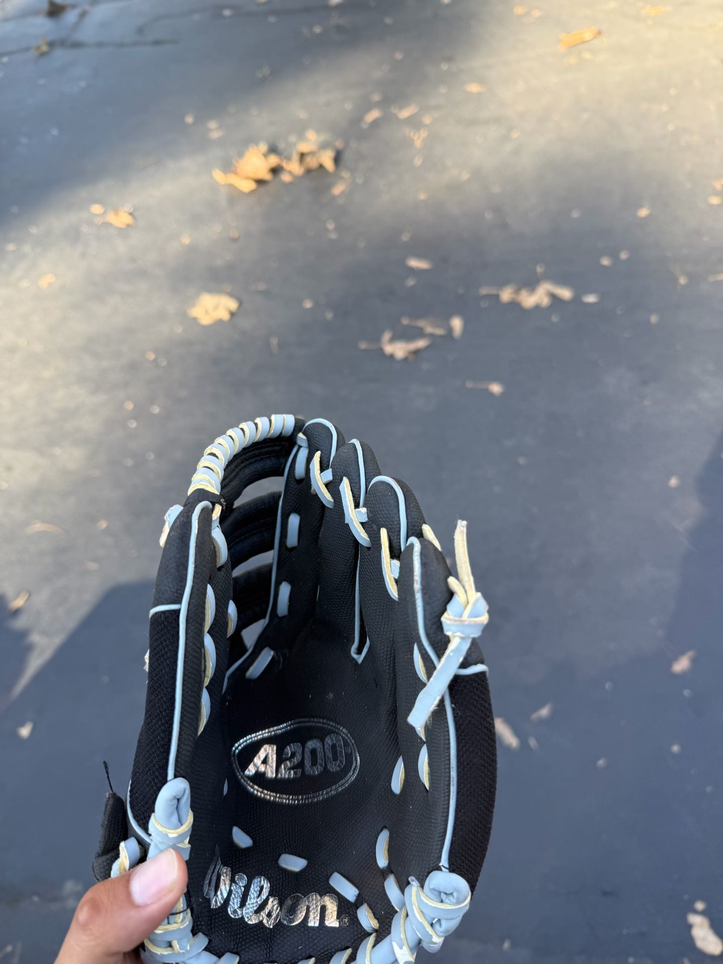 Baseball Glove