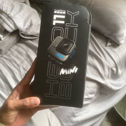 Go Pro 11 Hero Mini 
