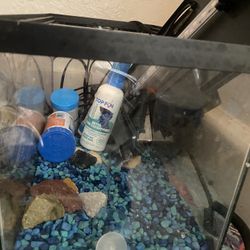 Moving Sale Fish Tank Formula Ice machine