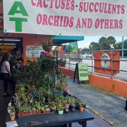 This Weekend Selection At Jason's Local Garden Located In New River Grove In Davie 