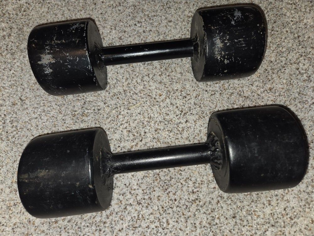 20 lb Dumbbell Pair