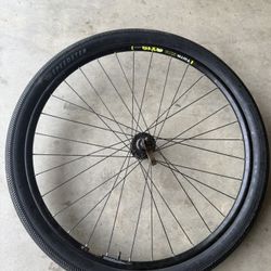 29er Rim