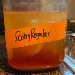 Scoby -kombucha