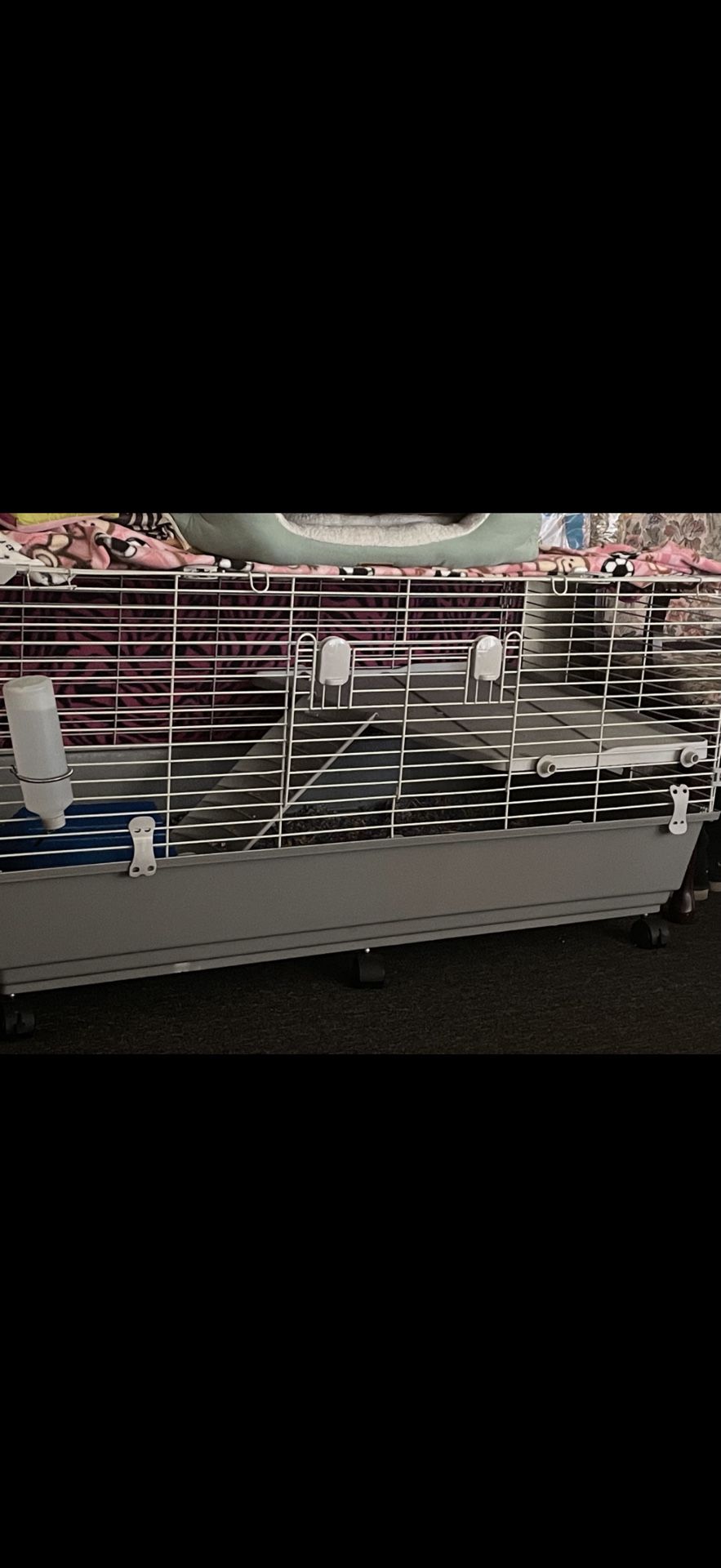 Animal Cage 