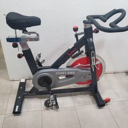 Sunny Indoor Exercise Bike