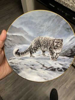 Special edition China plates