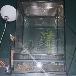 Reptile Enclosure w/lamp and water bowl