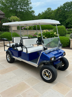 2002 Club Car DS Electric IQ in good condition