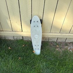 Skate Board