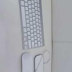 Apple keyboard And mouse Combo