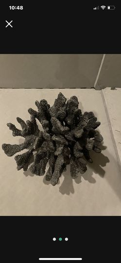 Z Gallerie Black Coral