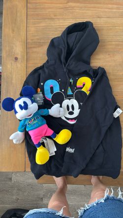 Disneyland hoodie Adult medium + Mickey Mouse Stuffed toy