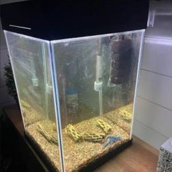 10 Gallon Tall Tank With Lid,light, And Heater