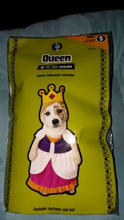 Halloween costume for pet