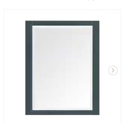 Sherway 28 in. W x 40 in. H Mirror (Antigua Green)