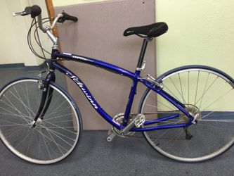 Schwinn searcher online gs